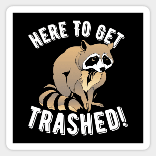 Raccoon Here To Get Trashed! Sticker